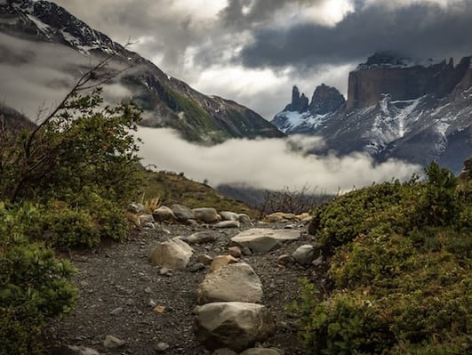 Dimmig vandringsstig i Torres del Paine Nationalpark i Patagonien