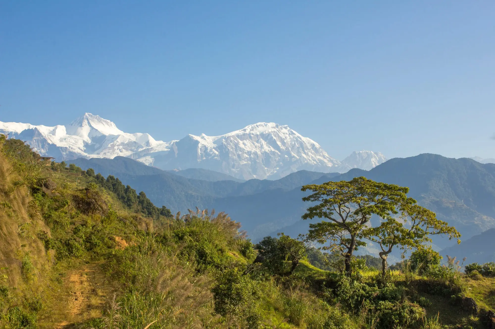 Utsikt mot Annapurna under vandring till Annapurna Base Camp