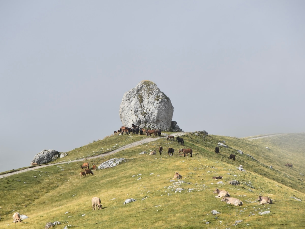Utsikt mot stort klippblock under vandring till Refugio de Áliva i Picos de Europa
