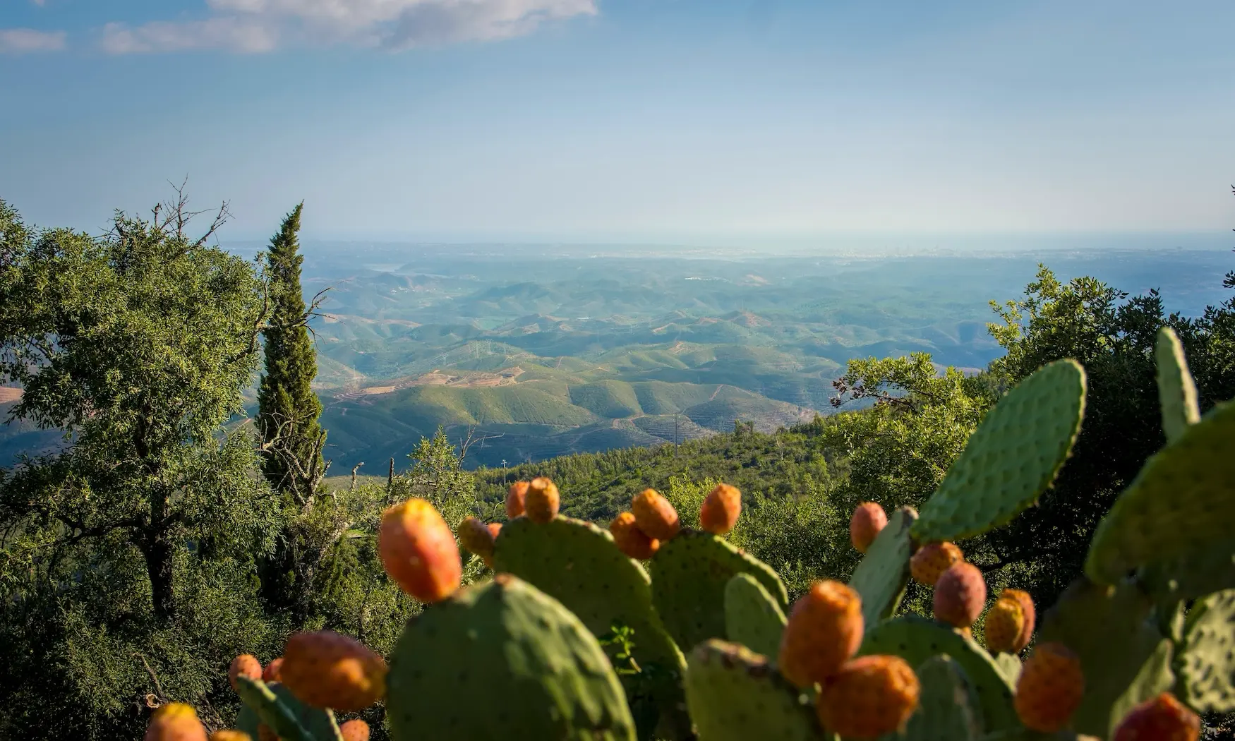 Utsikt från Picota under vandringsresa i Algarve