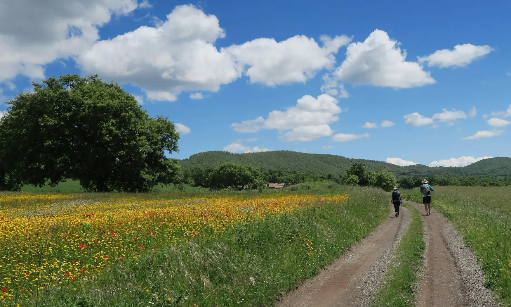 Två vandrare längs Via pilgrimsleden Via Francigena i ITalien