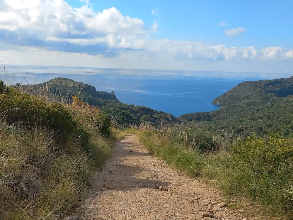 Vandringsled i kuperat landskap i Cilento, Italien, med utsikt mot havet mellan gröna kullar.