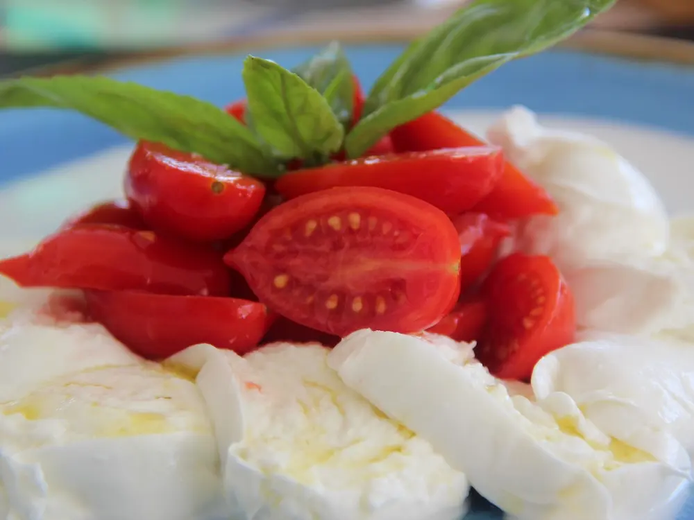Tallrik med skivad mozzarella, körsbärstomater och färska örter.