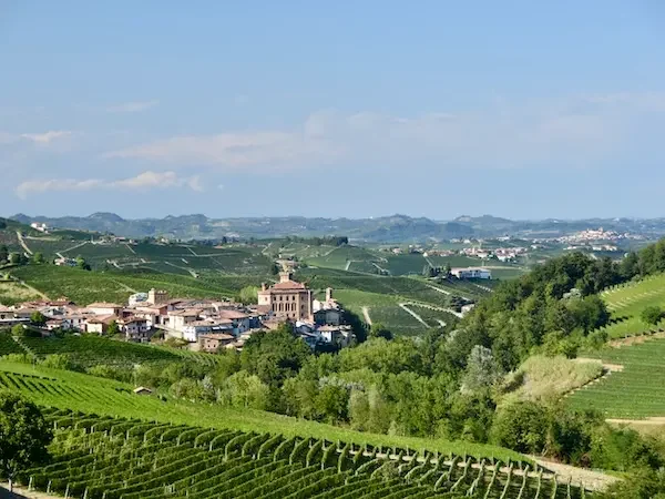 Barbera_Barolo_liten
