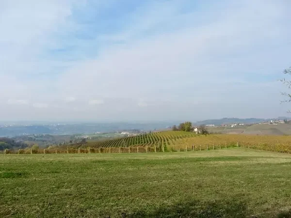bartobarnynr1_orig